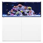 WATERBOX REEF 130.4 WHITE